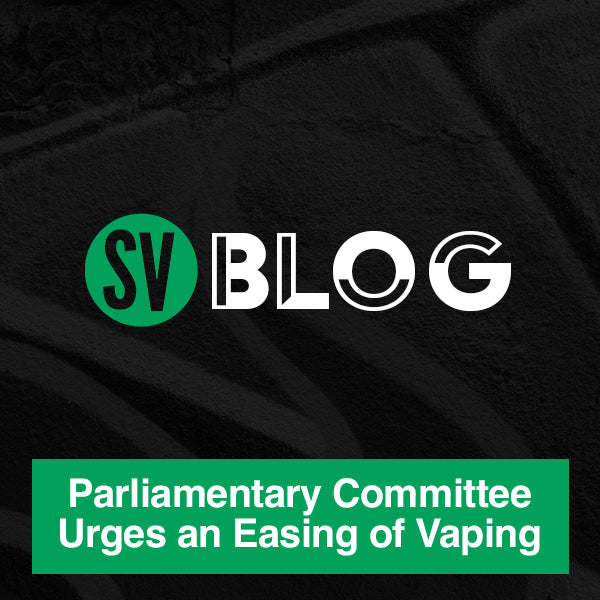 Parliamentary Committee Urges an Easing of Vaping Restrictions