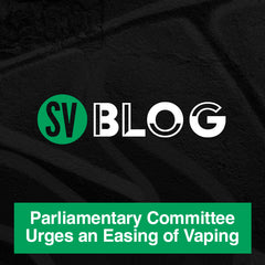 Parliamentary Committee Urges an Easing of Vaping Restrictions